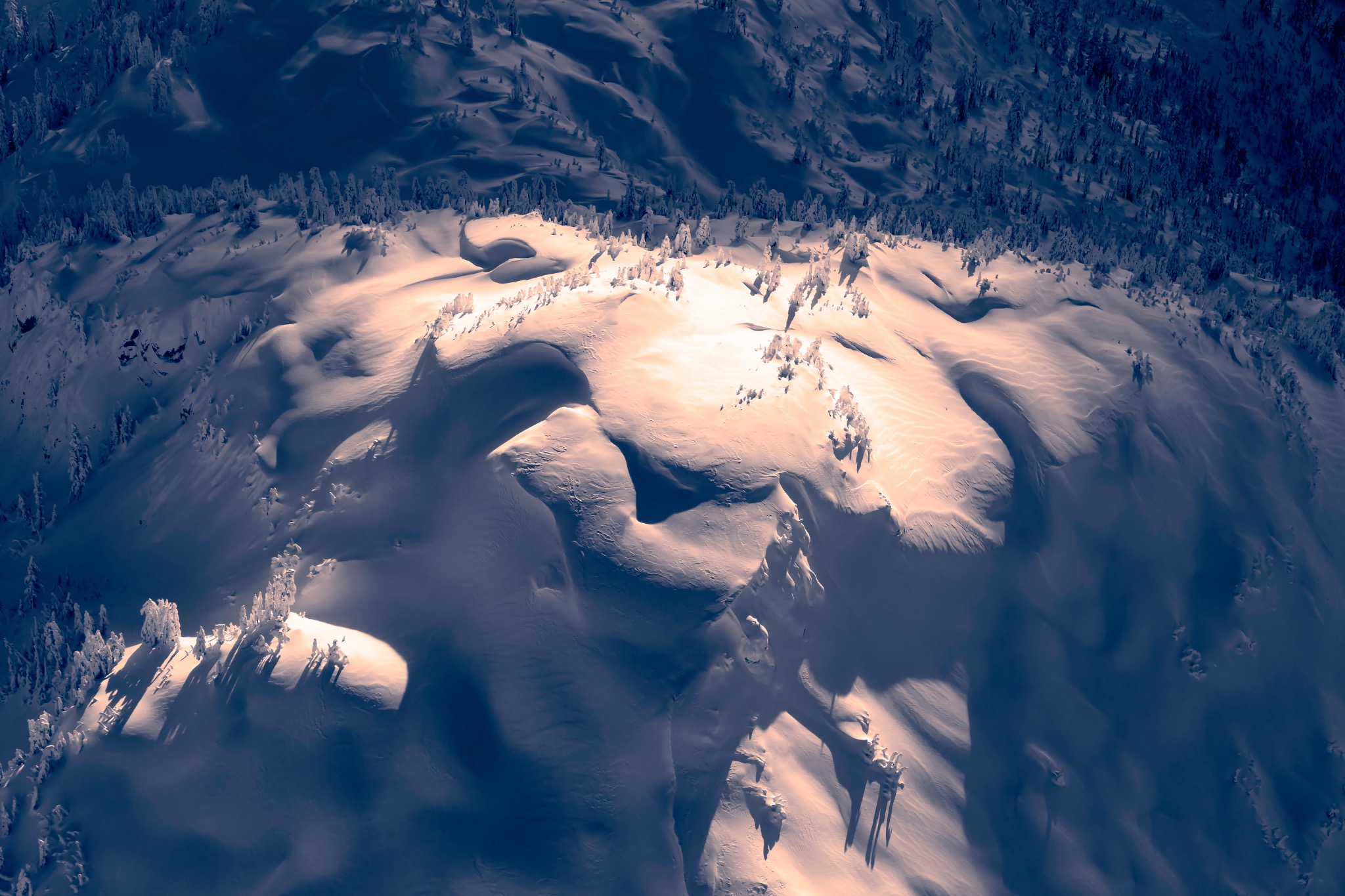 Alpine Observation System