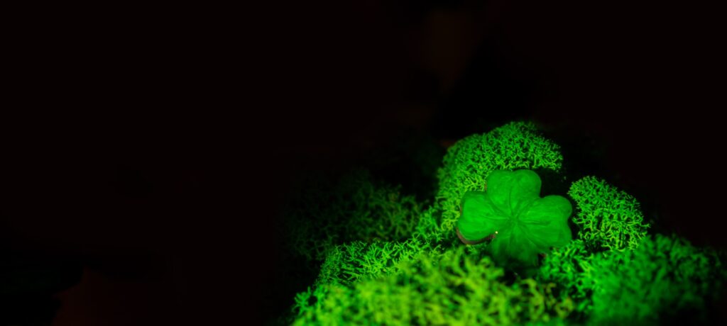 Green Phosphor Low-Light View