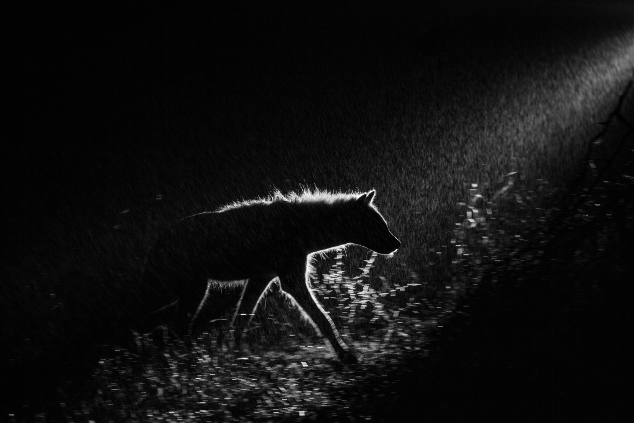 Rain Silhouette Detection
