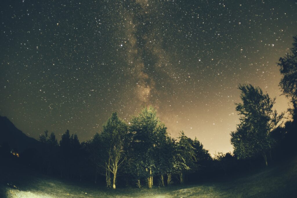 Starlight Observation Scene