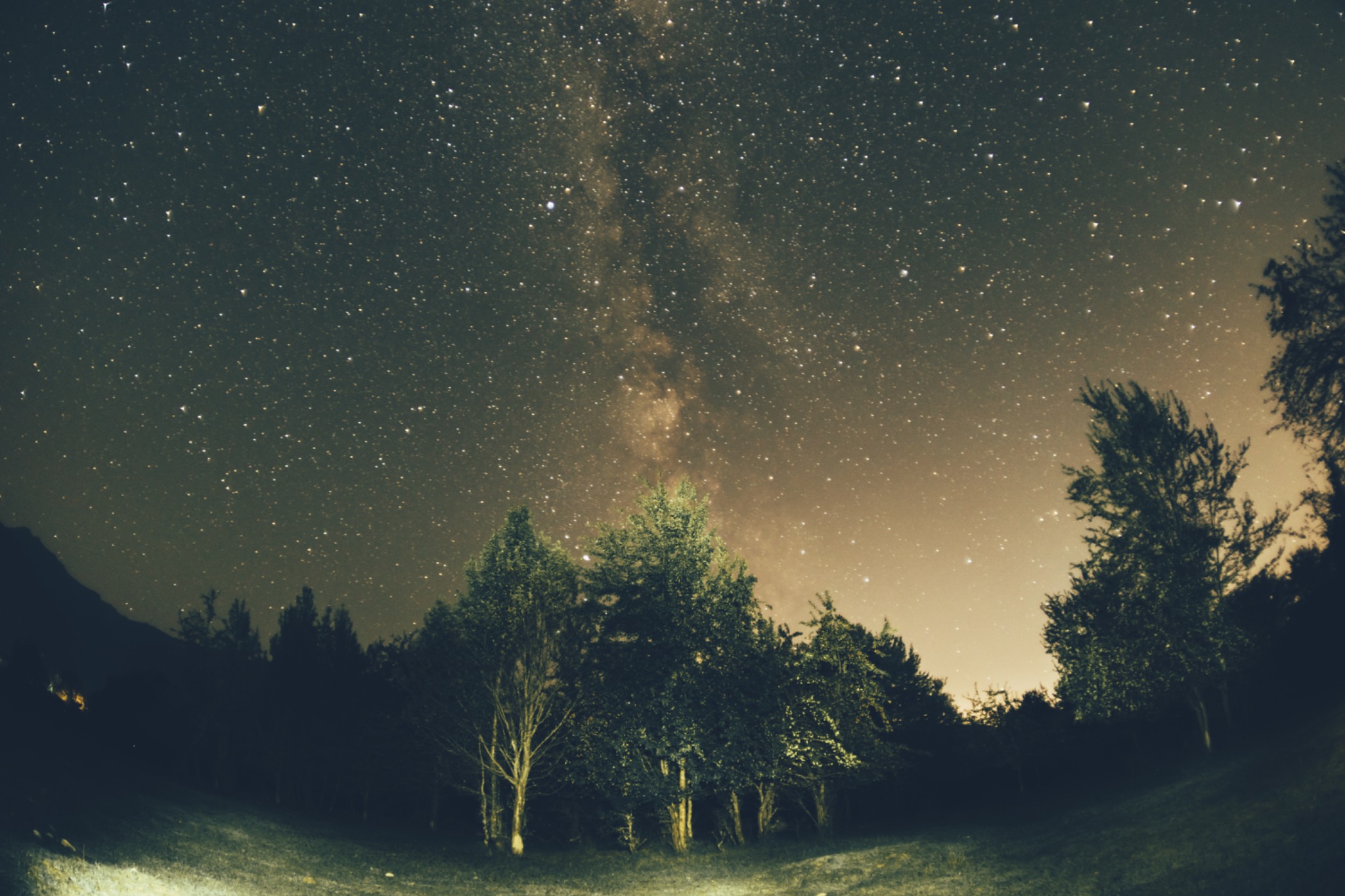 Starlight Observation Scene