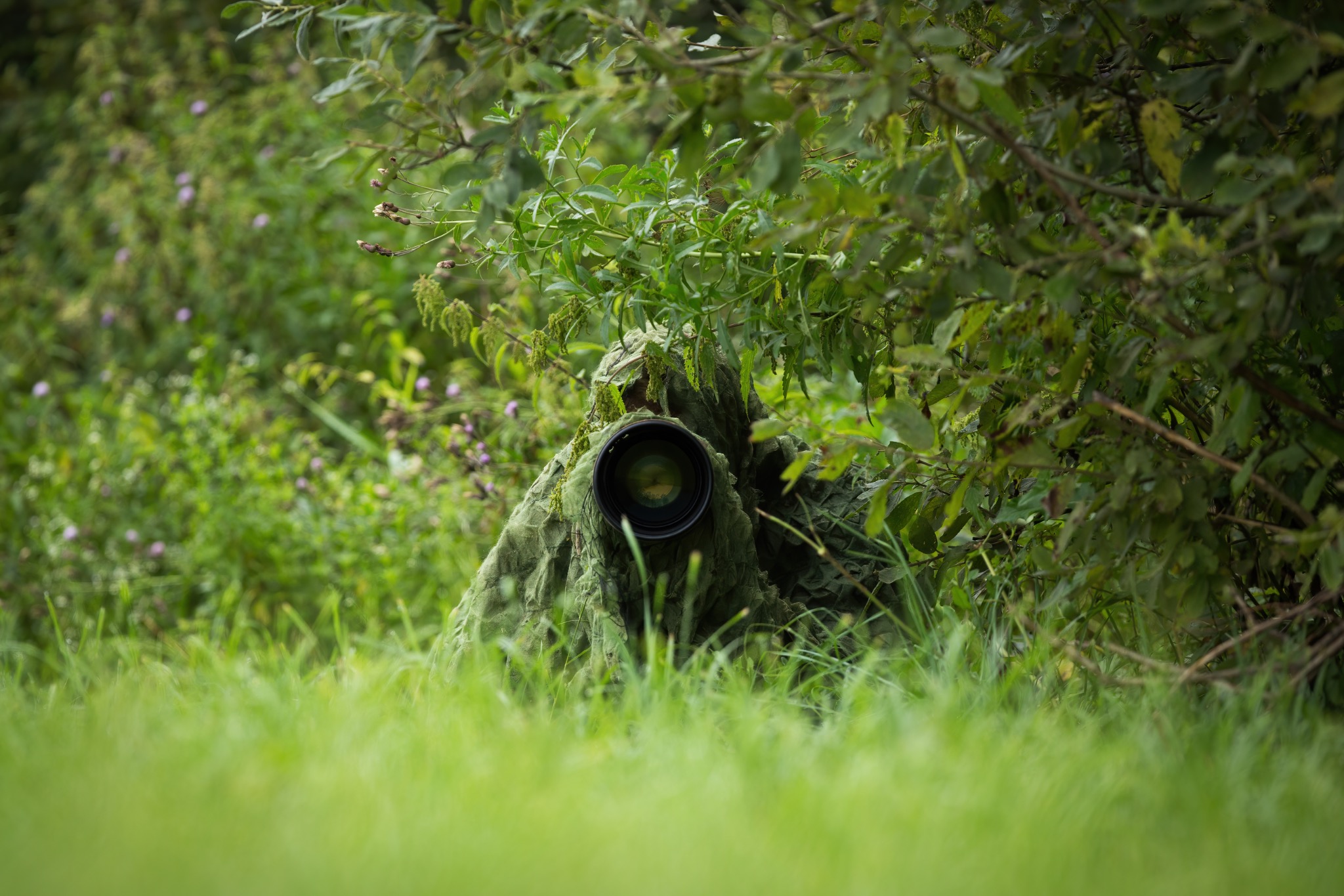 Woodland Concealment Optic